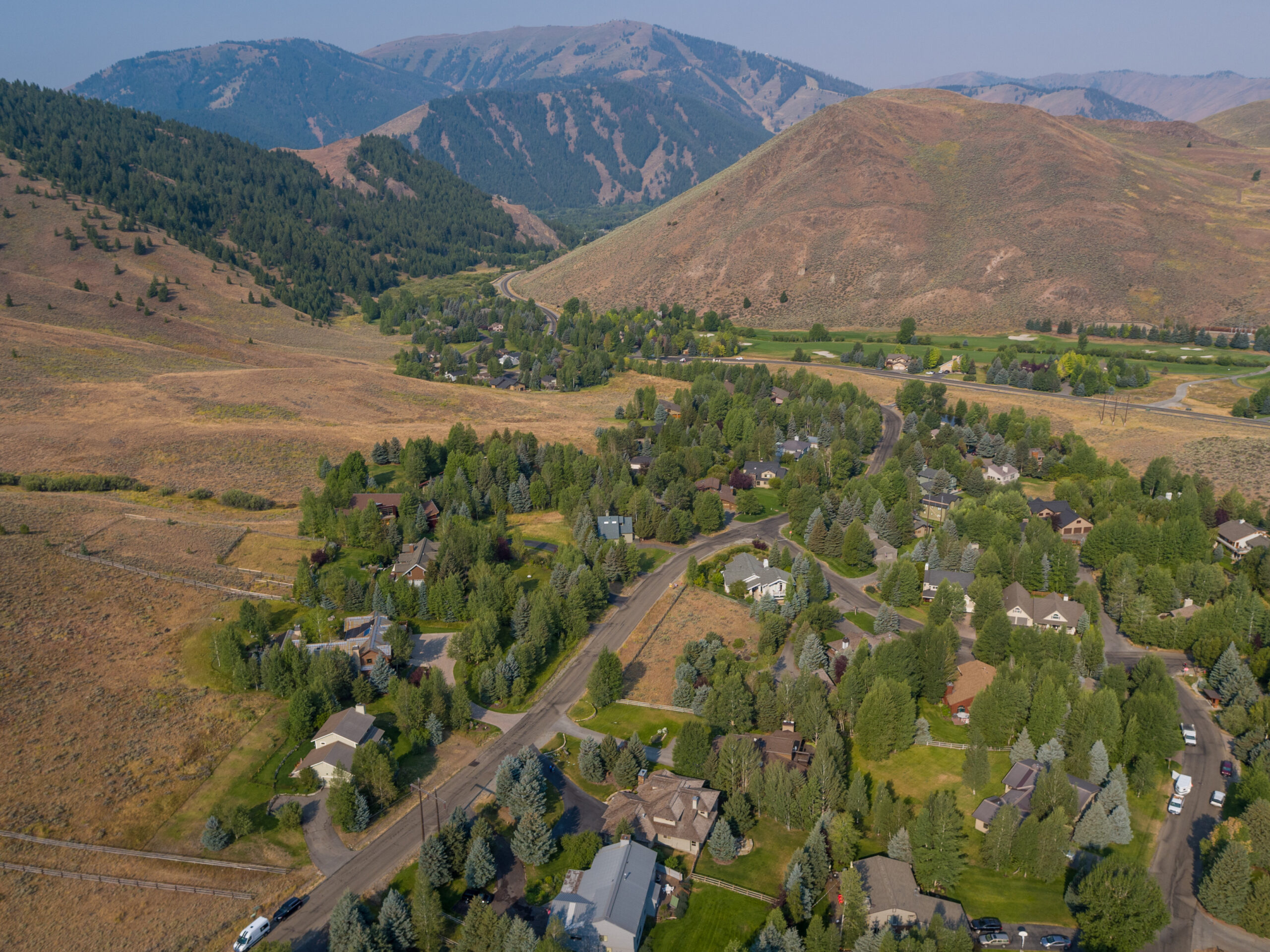 Elkhorn